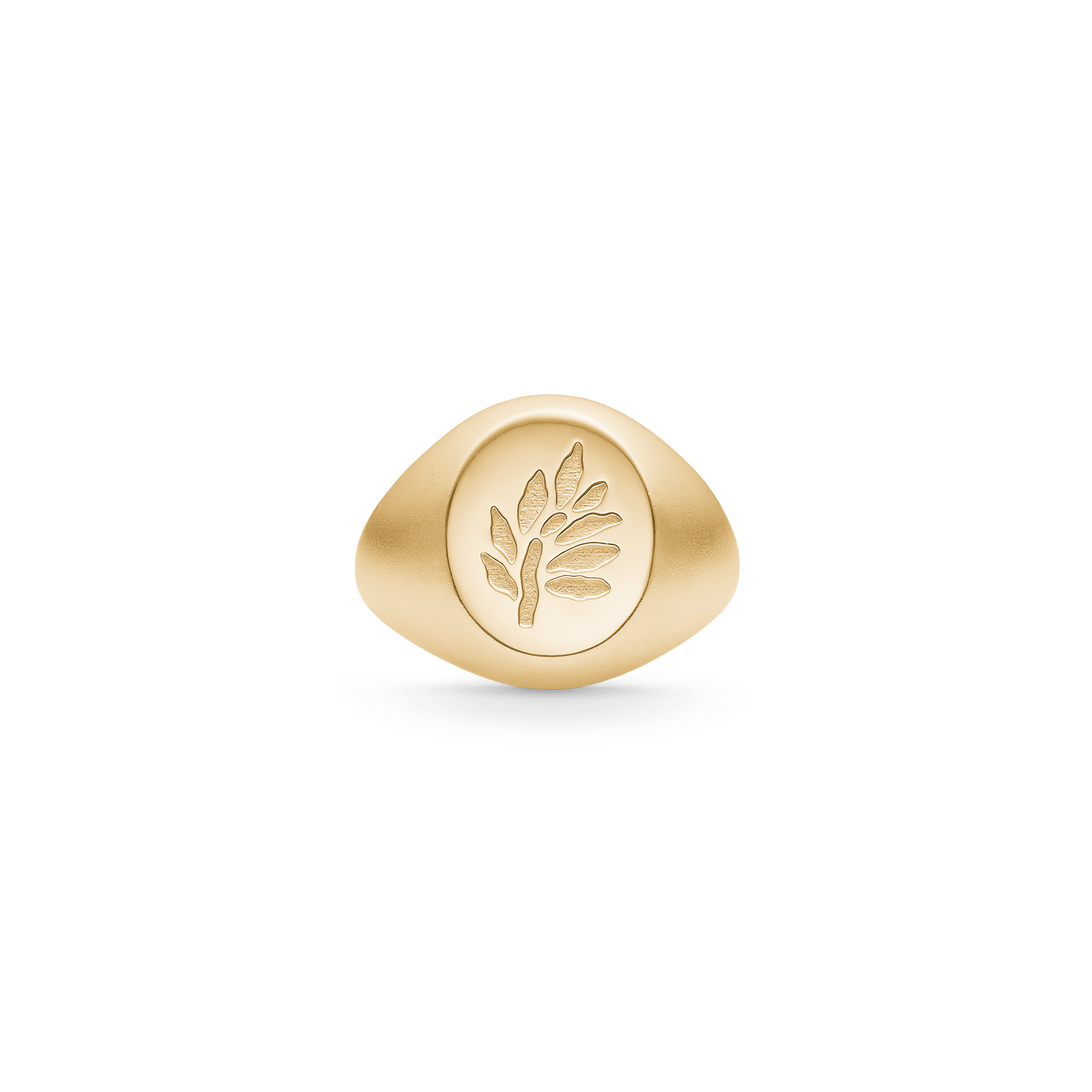 Tree Life Signet Ring - Julie Sandlau Fingerringe  - 5704465142965