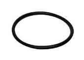 Mercruiser Vandpumpe Ring 2538099 - Sierra Fingerringe